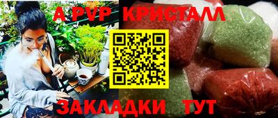 кокс Донской