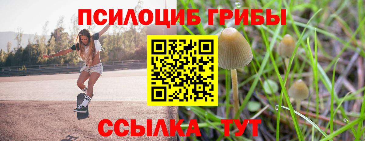 Псилоцибиновые грибы Magic Shrooms Кузнецк