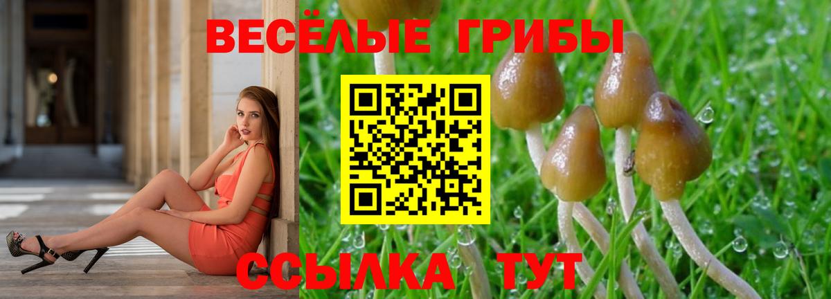 Галлюциногенные грибы Cubensis  купить закладку  Вход с VPN  Кузнецк  Псилоцибиновые грибы MAGIC MUSHROOMS 