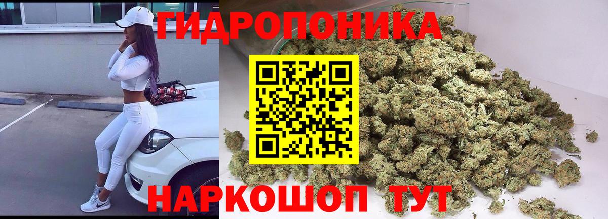 МАРИХУАНА гибрид Кузнецк
